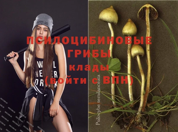 гидропоника Алзамай