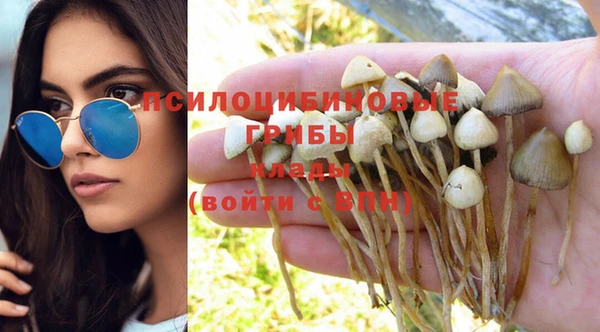 гидропоника Алзамай