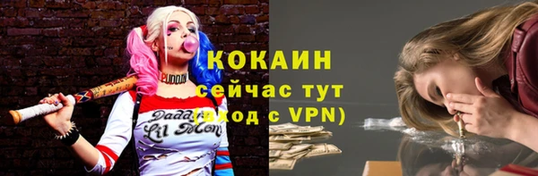прущие грибы Абаза