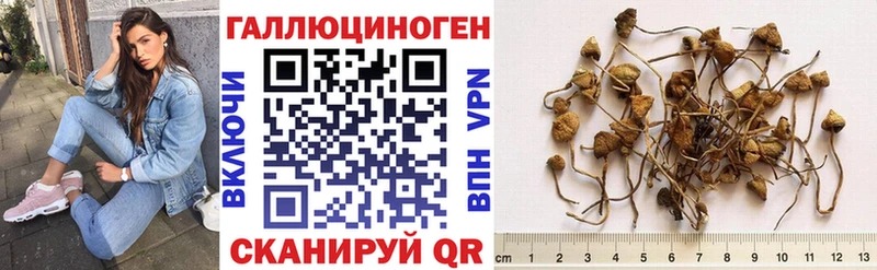 сколько стоит  Избербаш  Псилоцибиновые грибы прущие грибы 